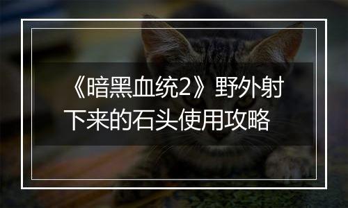 《暗黑血统2》野外射下来的石头使用攻略