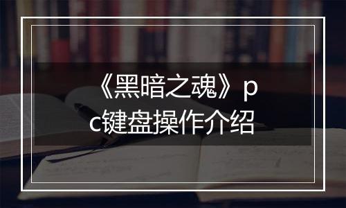《黑暗之魂》pc键盘操作介绍