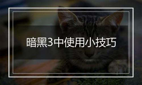 暗黑3中使用小技巧