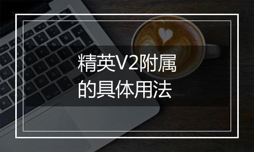 精英V2附属的具体用法
