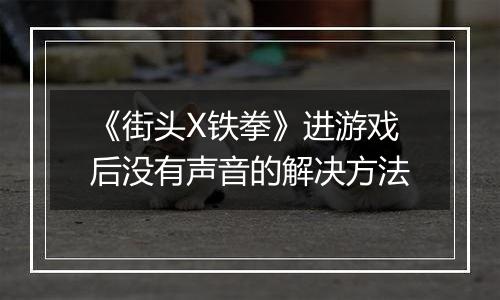 《街头X铁拳》进游戏后没有声音的解决方法