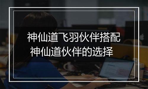 神仙道飞羽伙伴搭配 神仙道伙伴的选择