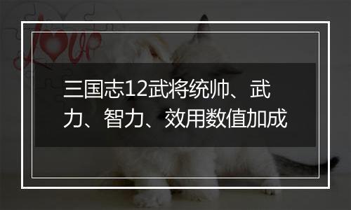三国志12武将统帅、武力、智力、效用数值加成