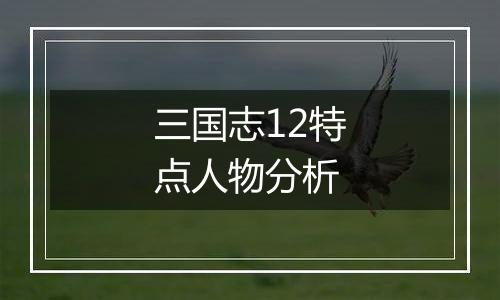 三国志12特点人物分析