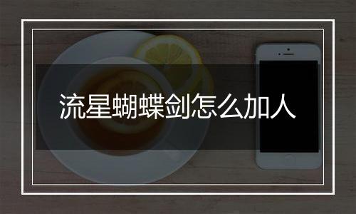 流星蝴蝶剑怎么加人