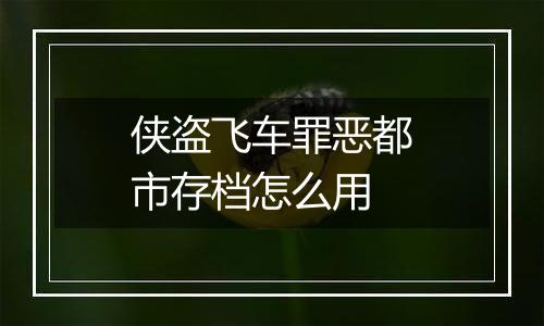 侠盗飞车罪恶都市存档怎么用