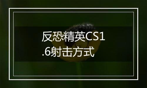 反恐精英CS1.6射击方式