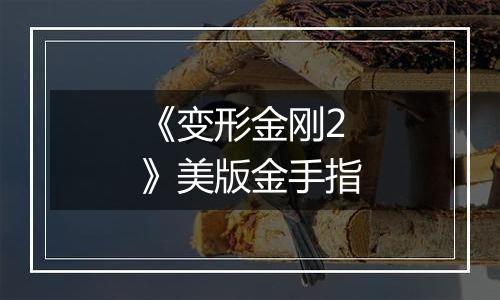 《变形金刚2》美版金手指