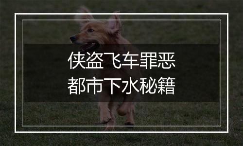 侠盗飞车罪恶都市下水秘籍