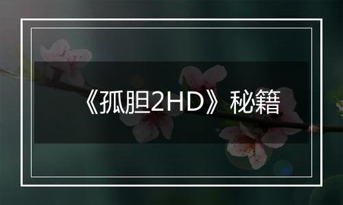 《孤胆2HD》秘籍