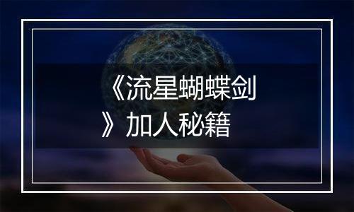 《流星蝴蝶剑》加人秘籍