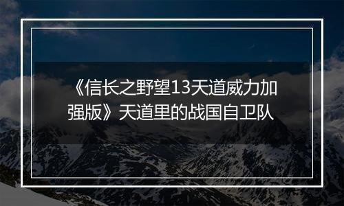 《信长之野望13天道威力加强版》天道里的战国自卫队