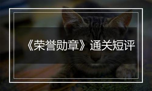 《荣誉勋章》通关短评