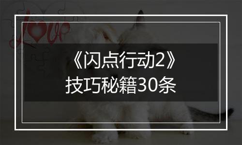 《闪点行动2》技巧秘籍30条