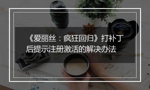 《爱丽丝：疯狂回归》打补丁后提示注册激活的解决办法