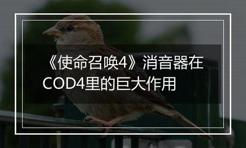 《使命召唤4》消音器在COD4里的巨大作用