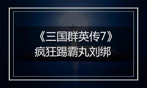 《三国群英传7》疯狂踢霸丸刘绑