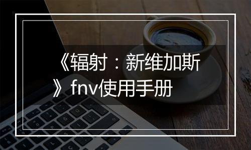 《辐射：新维加斯》fnv使用手册