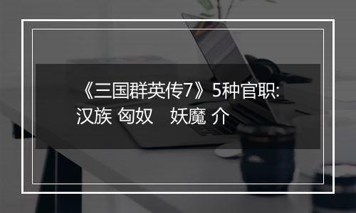 《三国群英传7》5种官职:汉族 匈奴   妖魔 介