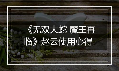 《无双大蛇 魔王再临》赵云使用心得