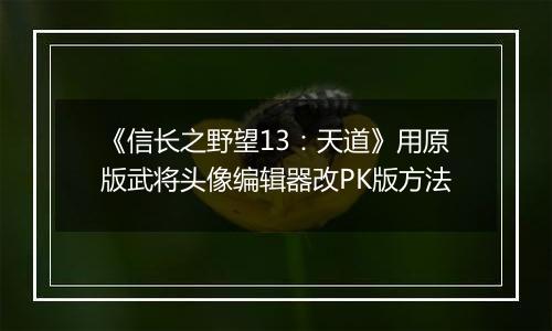 《信长之野望13：天道》用原版武将头像编辑器改PK版方法