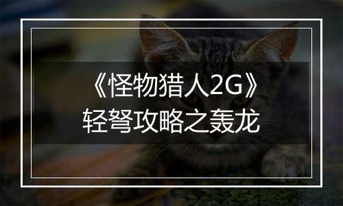 《怪物猎人2G》轻弩攻略之轰龙