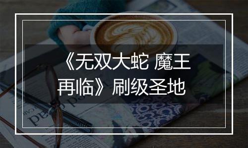 《无双大蛇 魔王再临》刷级圣地