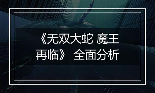 《无双大蛇 魔王再临》 全面分析