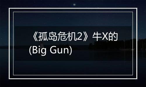 《孤岛危机2》牛X的(Big Gun)