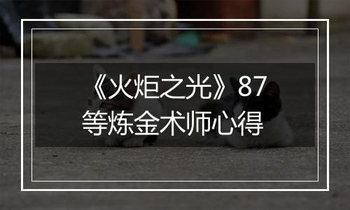 《火炬之光》87等炼金术师心得