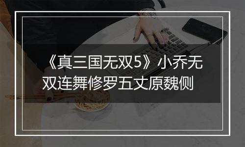 《真三国无双5》小乔无双连舞修罗五丈原魏侧