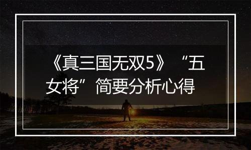 《真三国无双5》“五女将”简要分析心得