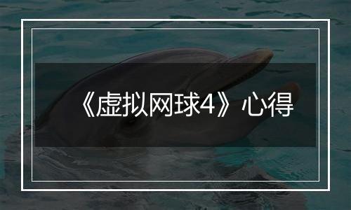 《虚拟网球4》心得