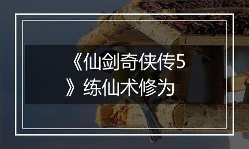 《仙剑奇侠传5》练仙术修为