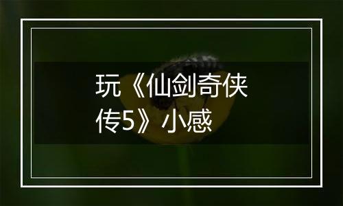玩《仙剑奇侠传5》小感