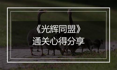 《光辉同盟》通关心得分享