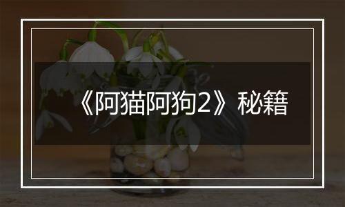 《阿猫阿狗2》秘籍
