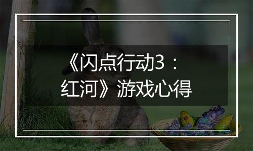 《闪点行动3：红河》游戏心得
