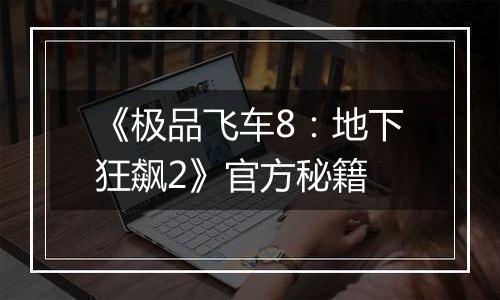 《极品飞车8：地下狂飙2》官方秘籍