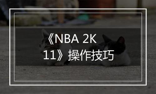 《NBA 2K11》操作技巧