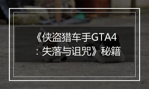 《侠盗猎车手GTA4：失落与诅咒》秘籍
