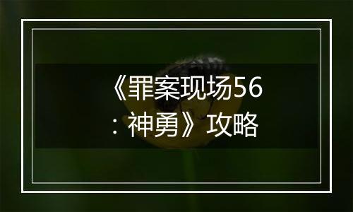 《罪案现场56：神勇》攻略