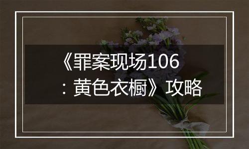 《罪案现场106：黄色衣橱》攻略