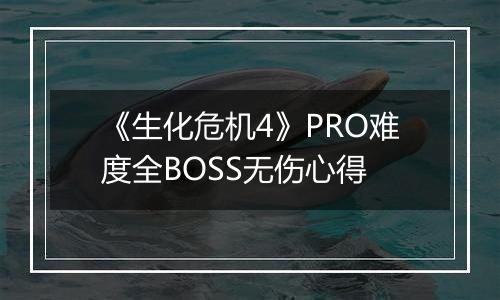 《生化危机4》PRO难度全BOSS无伤心得