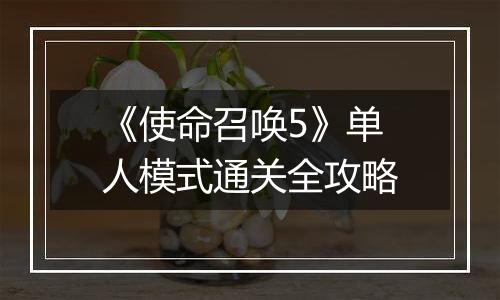 《使命召唤5》单人模式通关全攻略