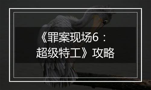 《罪案现场6：超级特工》攻略