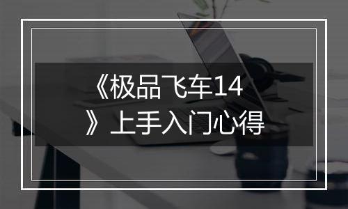 《极品飞车14》上手入门心得