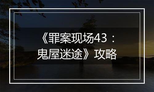 《罪案现场43：鬼屋迷途》攻略