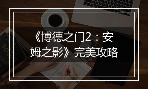 《博德之门2：安姆之影》完美攻略