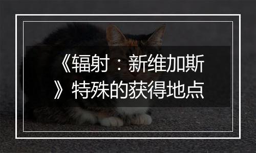 《辐射：新维加斯》特殊的获得地点